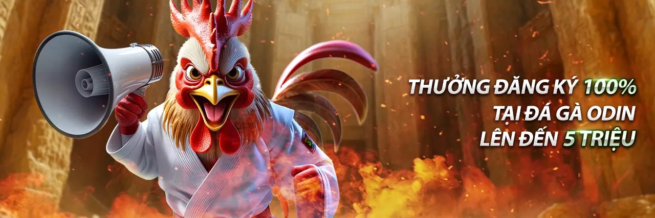 Đá Gà Trực Tuyến Hấp Dẫn tại 68win